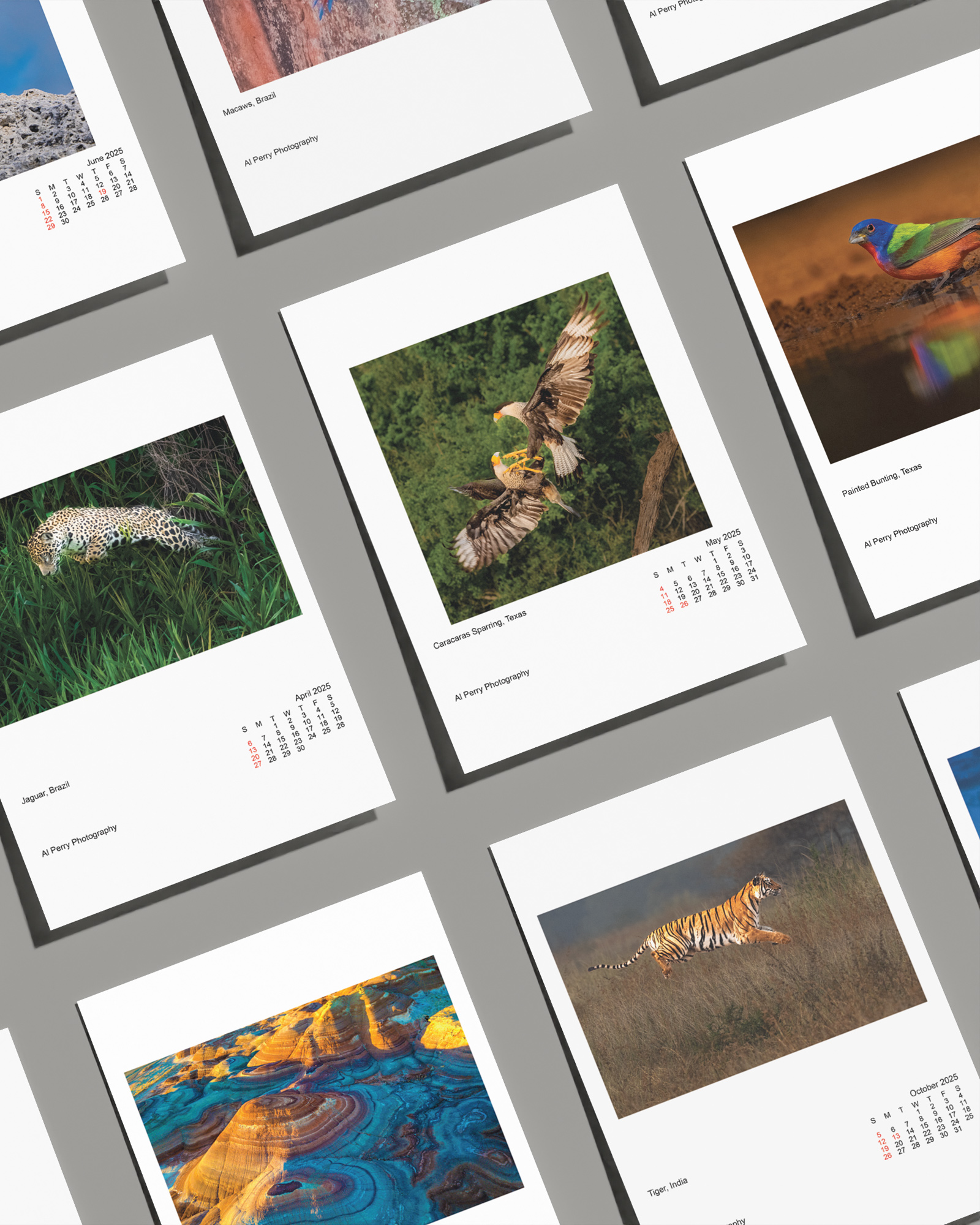 Nature photography calendar prints.